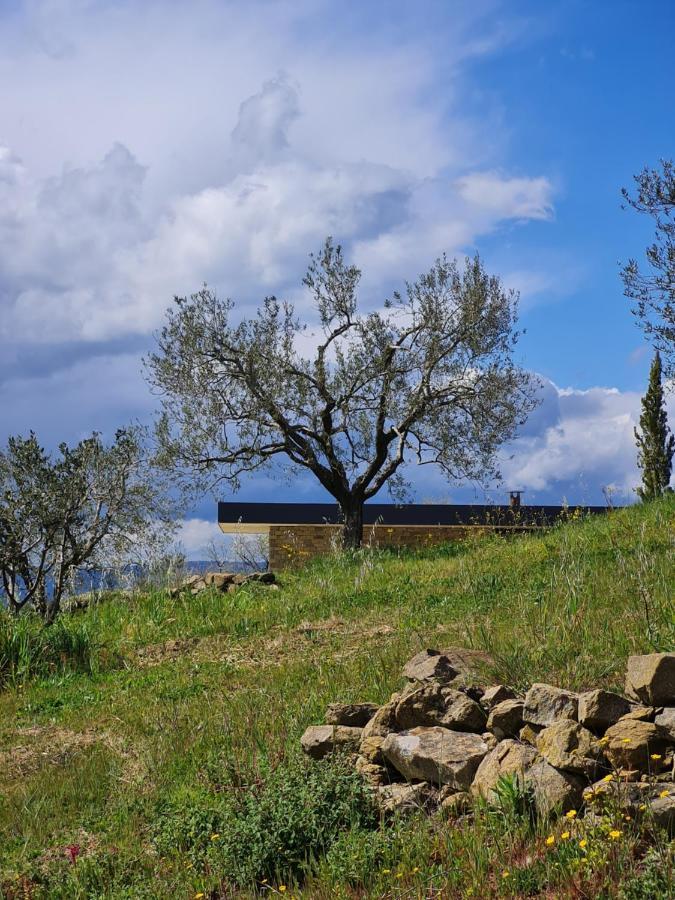 Poggio Cagnano Bed & Breakfast Manciano Exterior photo